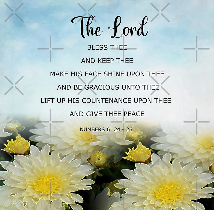 Open Bible with highlighted blessing verses, warm sunlight shining across the pages, symbolizing God's promises, faith, hope, peace, and spiritual blessings for believers."